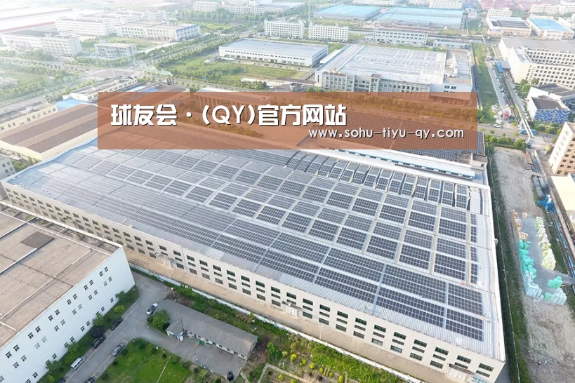 案例展示一