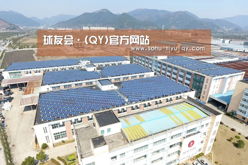 案例展示四
