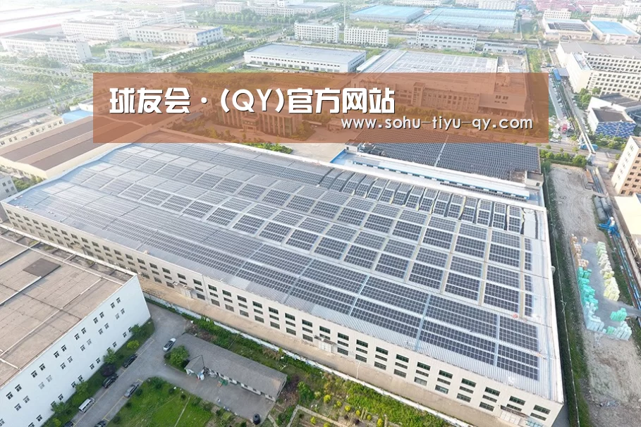 案例展示三
