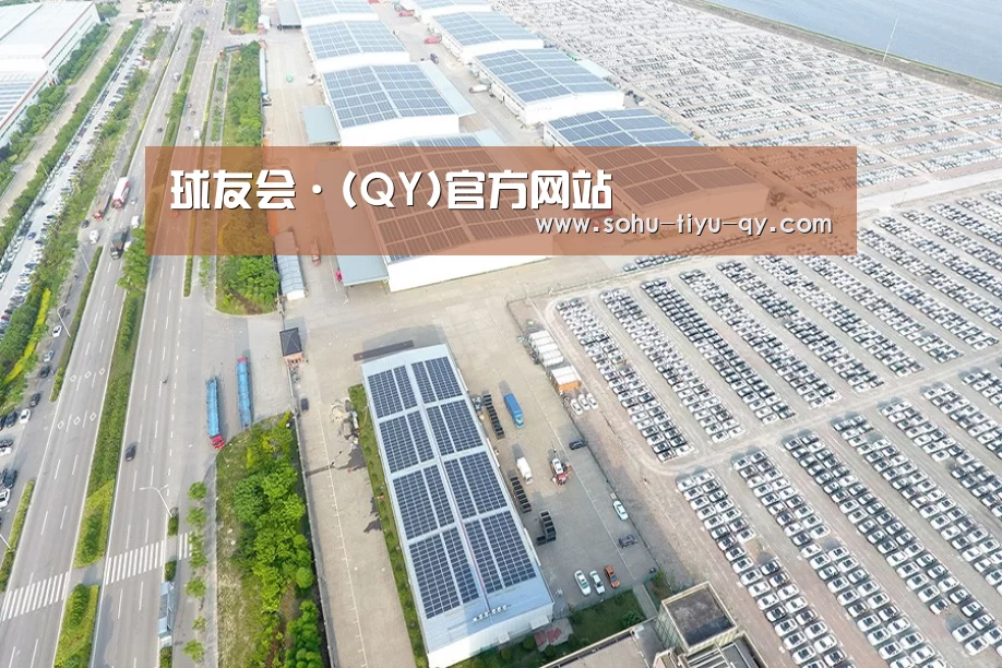 案例展示三
