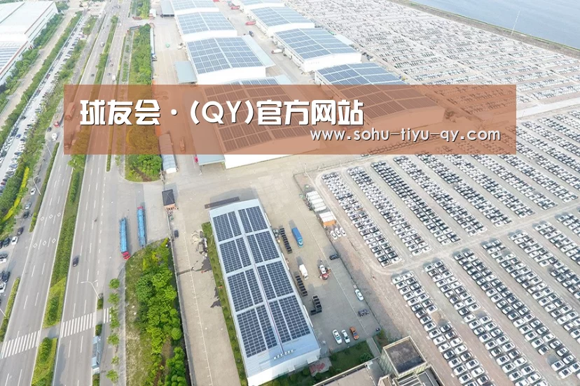 案例展示二